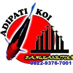 ADIPATI Koi