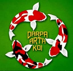 darpa