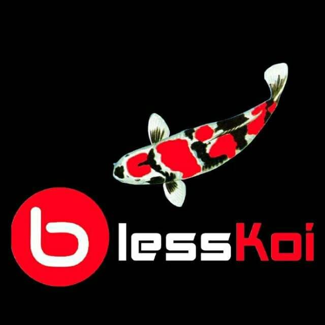 Foto profil Bless Koi