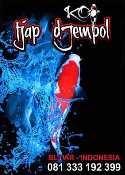 koi tjap dJempol