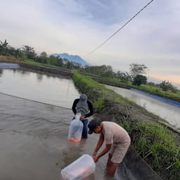 AGRO KOI CENTER 