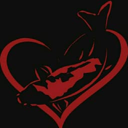 ILHAMI KOI