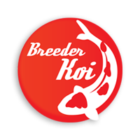 BreederKoi.com