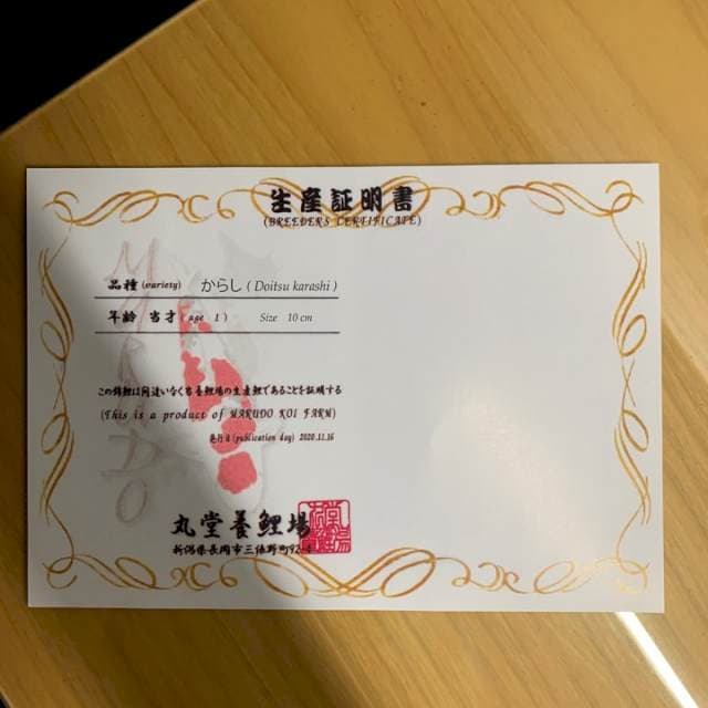 1 DOITSU RED KARASHI MARUDO