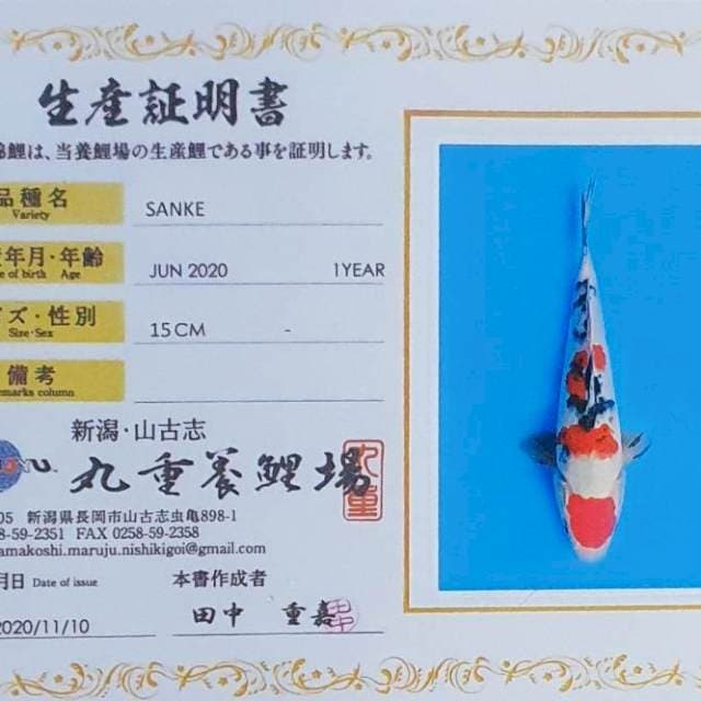 Sanke Marujyu
