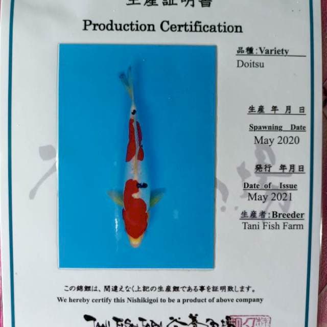 Sanke Doitsu Tani farm jpg