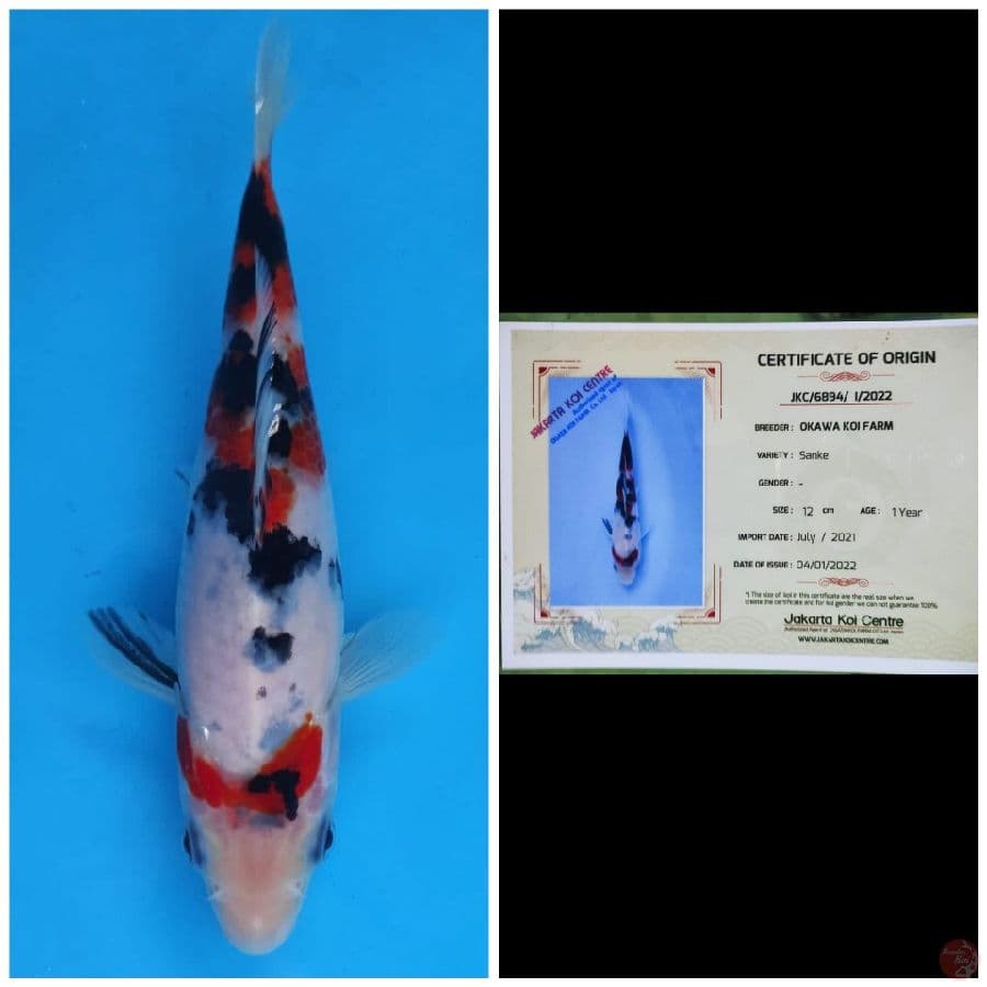 Okawa Sanke