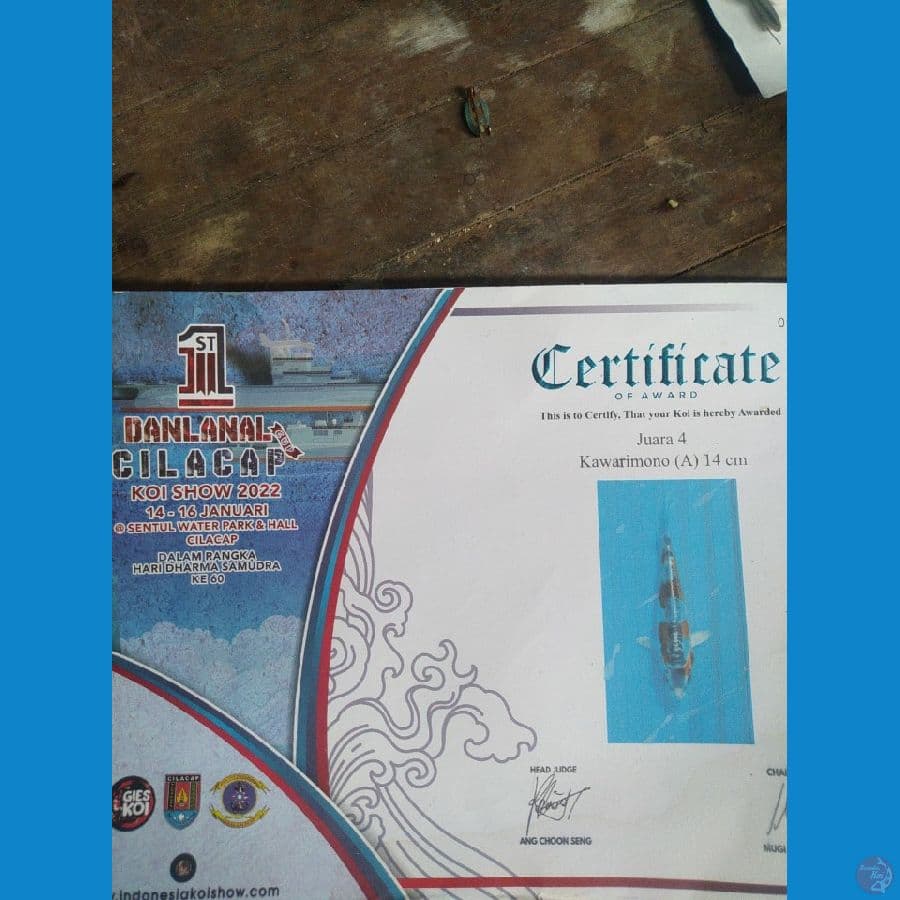 Kiko Prestasi