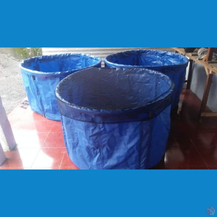 Vat baru D1.5 t08