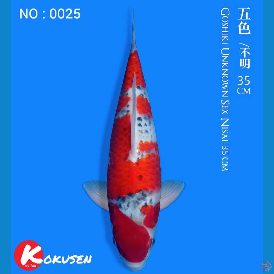 Goshiki