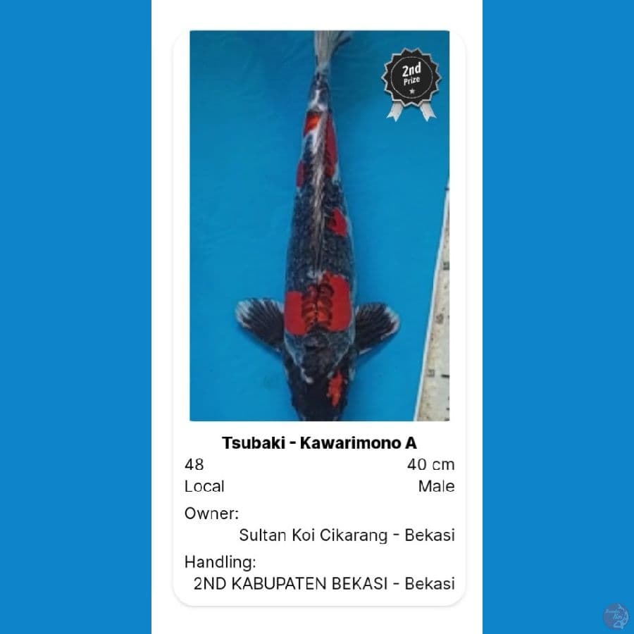 Super beni kiko #2nd Prize 22 ZNA Bandung Chapter