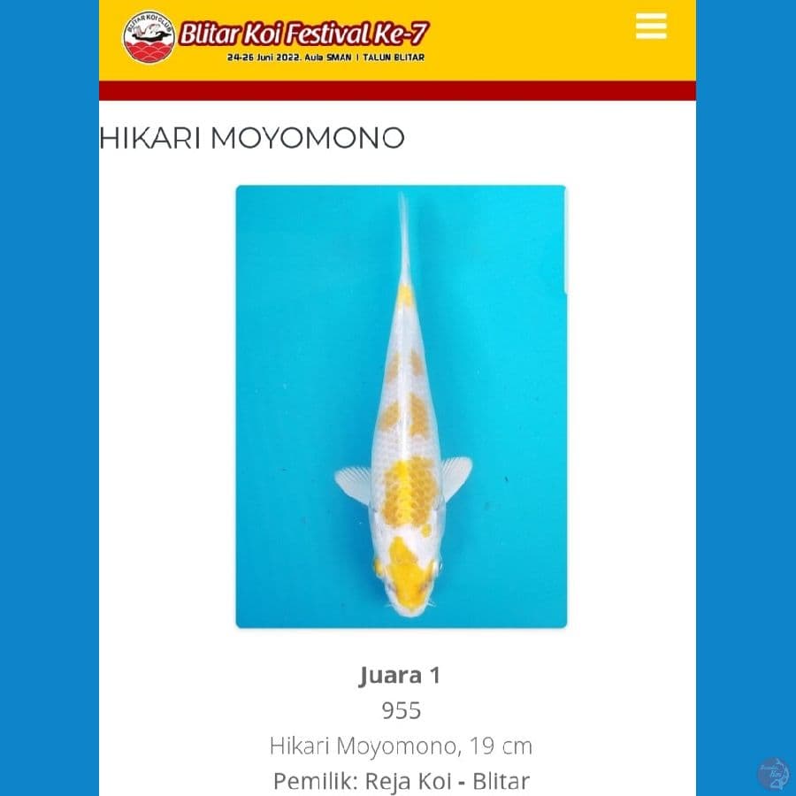 JUARA 1 BLITAR