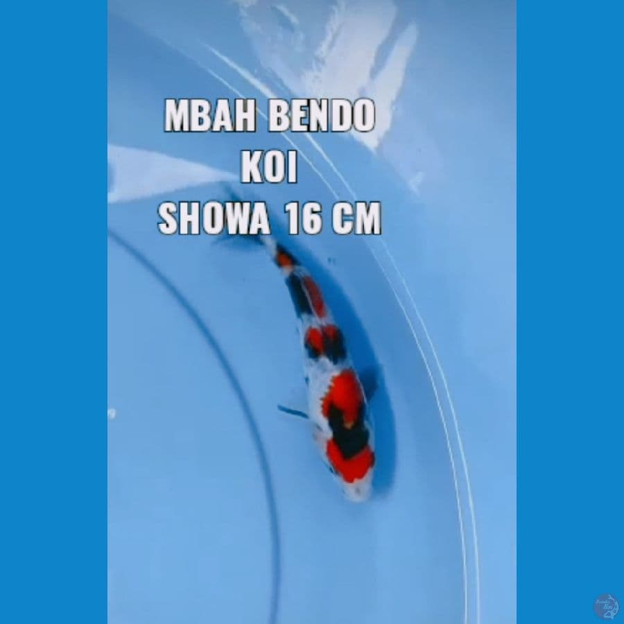 Minion 16 cm