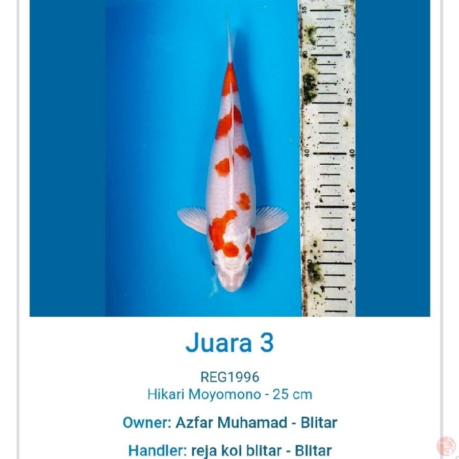 JUARA 3 MALANG