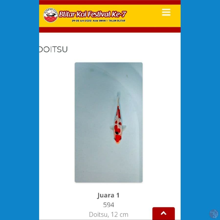 sanke doitsu