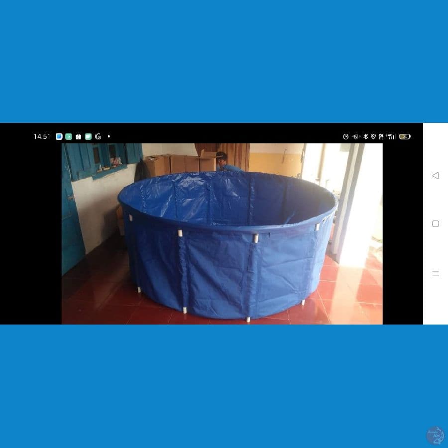 D2 t08