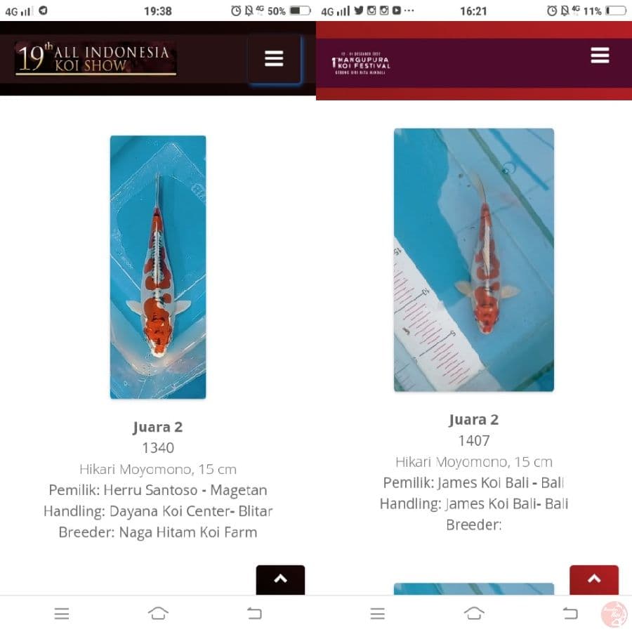 hikarimoyomono SQ 2* juara