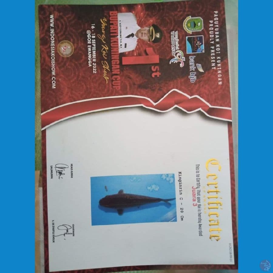 Karamel Juara