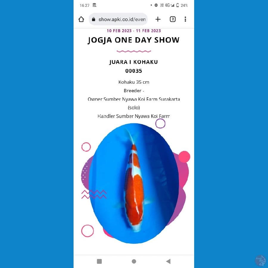 KOHAKU SQ Male 35cm juara 1 Show jogja