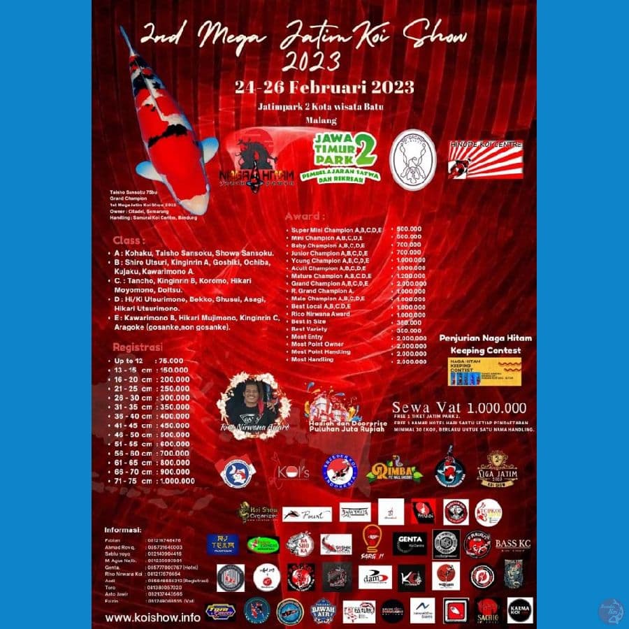 Bekko Ready show 2nd mega Jatim koi show