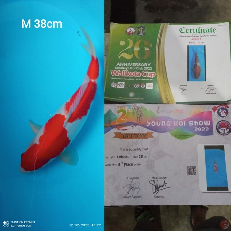 Paket Hemat Superrrr... Rawatan Filter