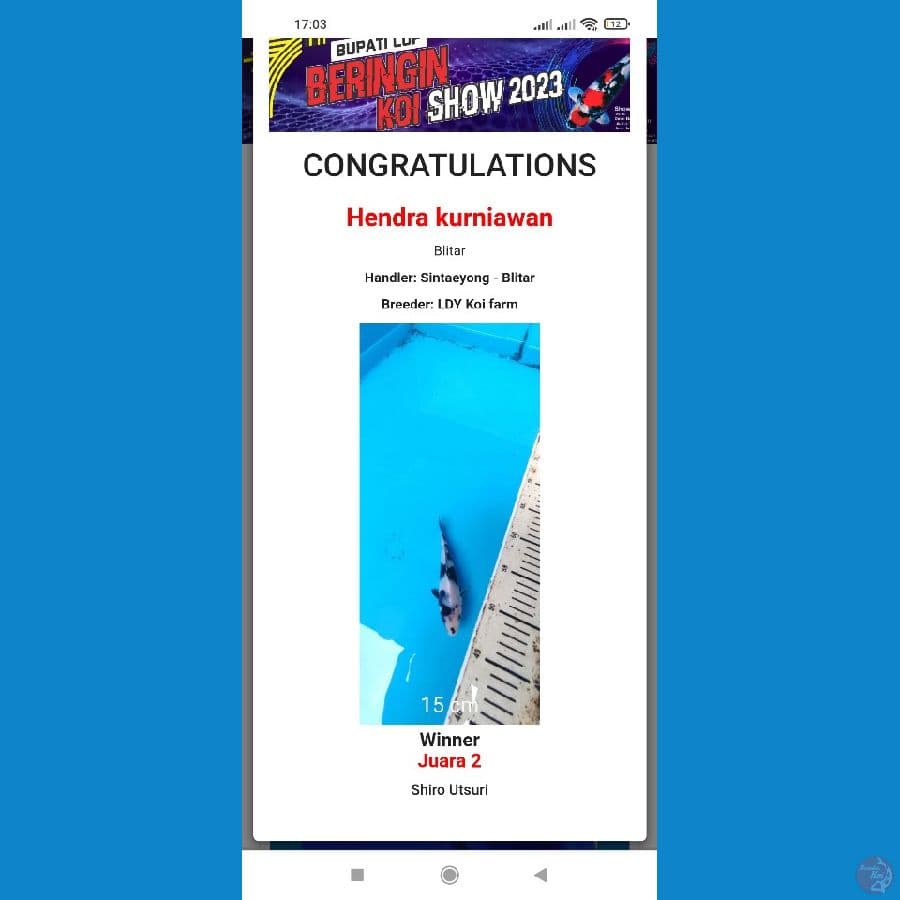 SHIRO SQ 25CM PERNAH JUARA 2