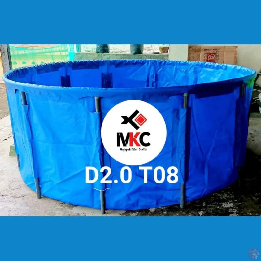VAT D2 T08 Std Show koi