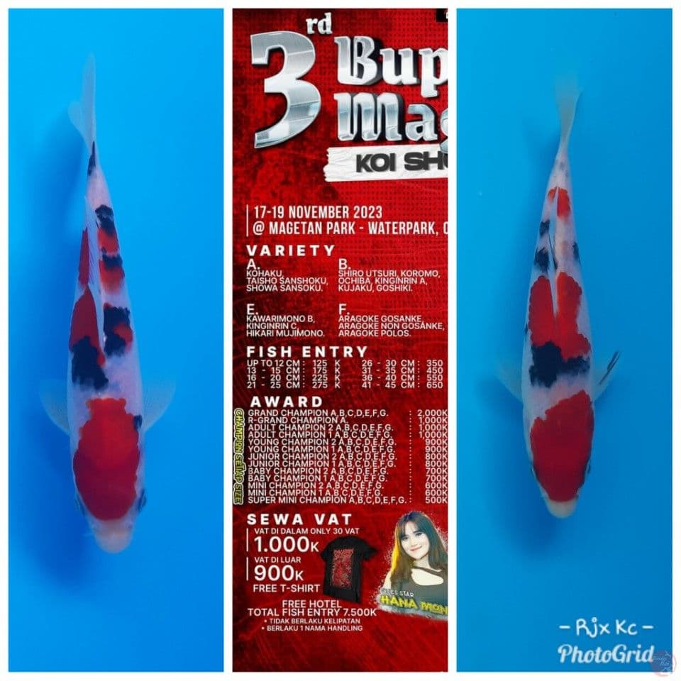 ready for next show.