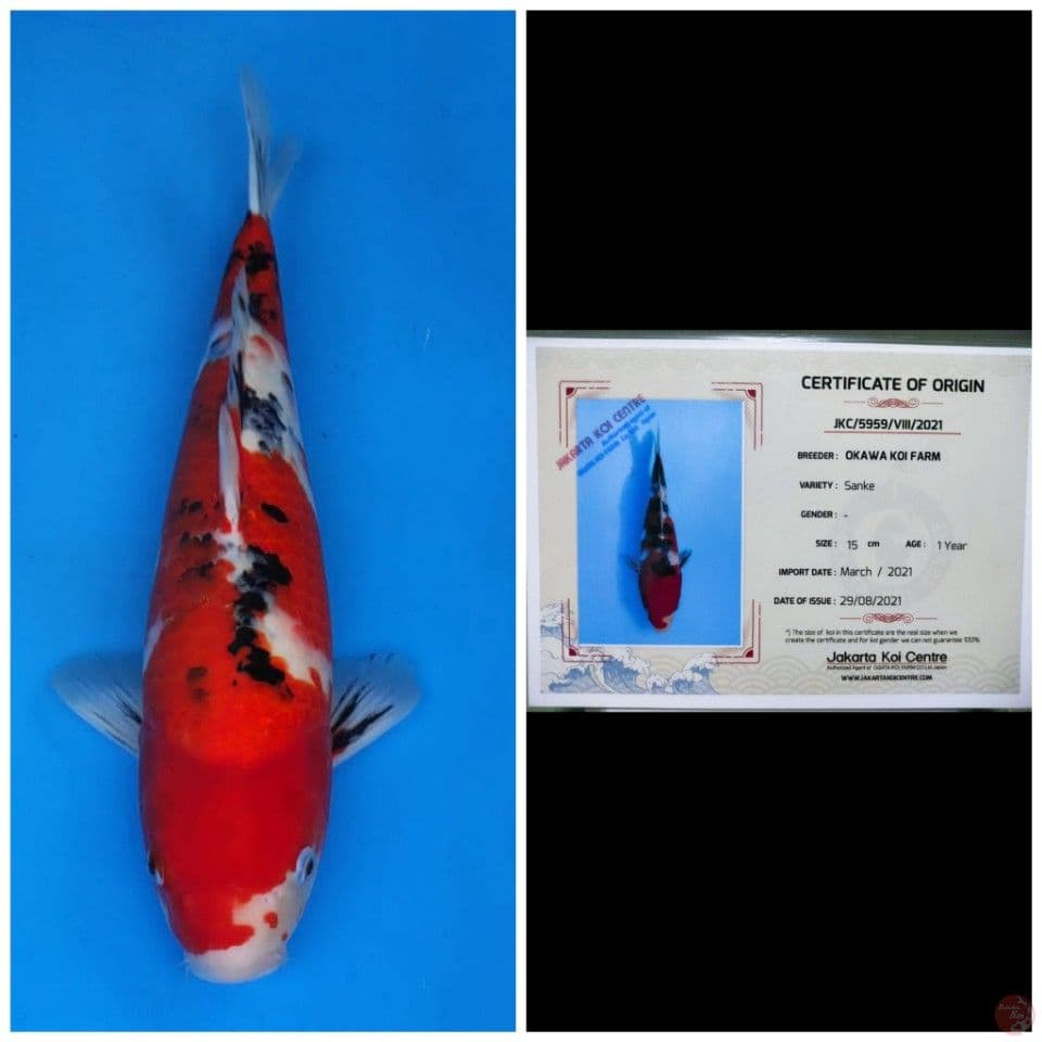 Okawa Sanke