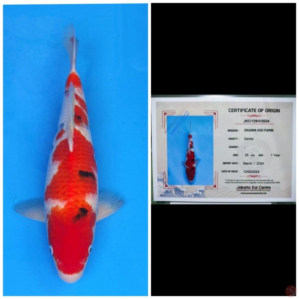 Okawa Sanke