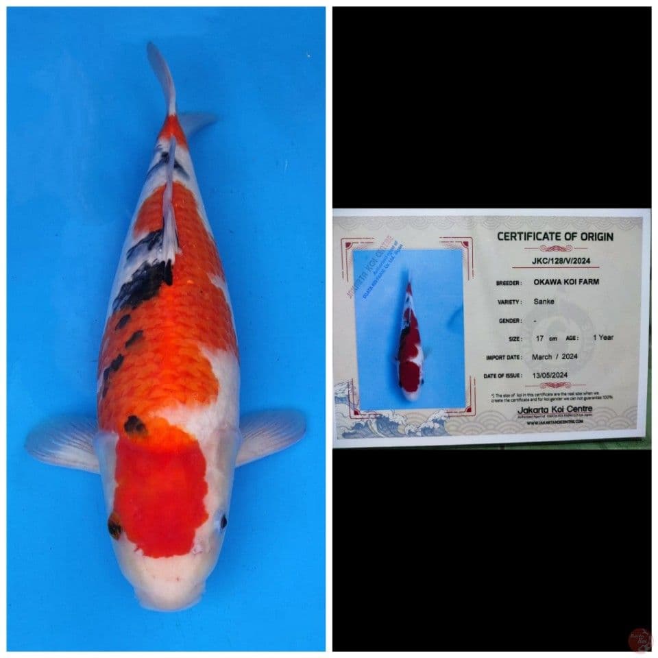 Okawa Sanke