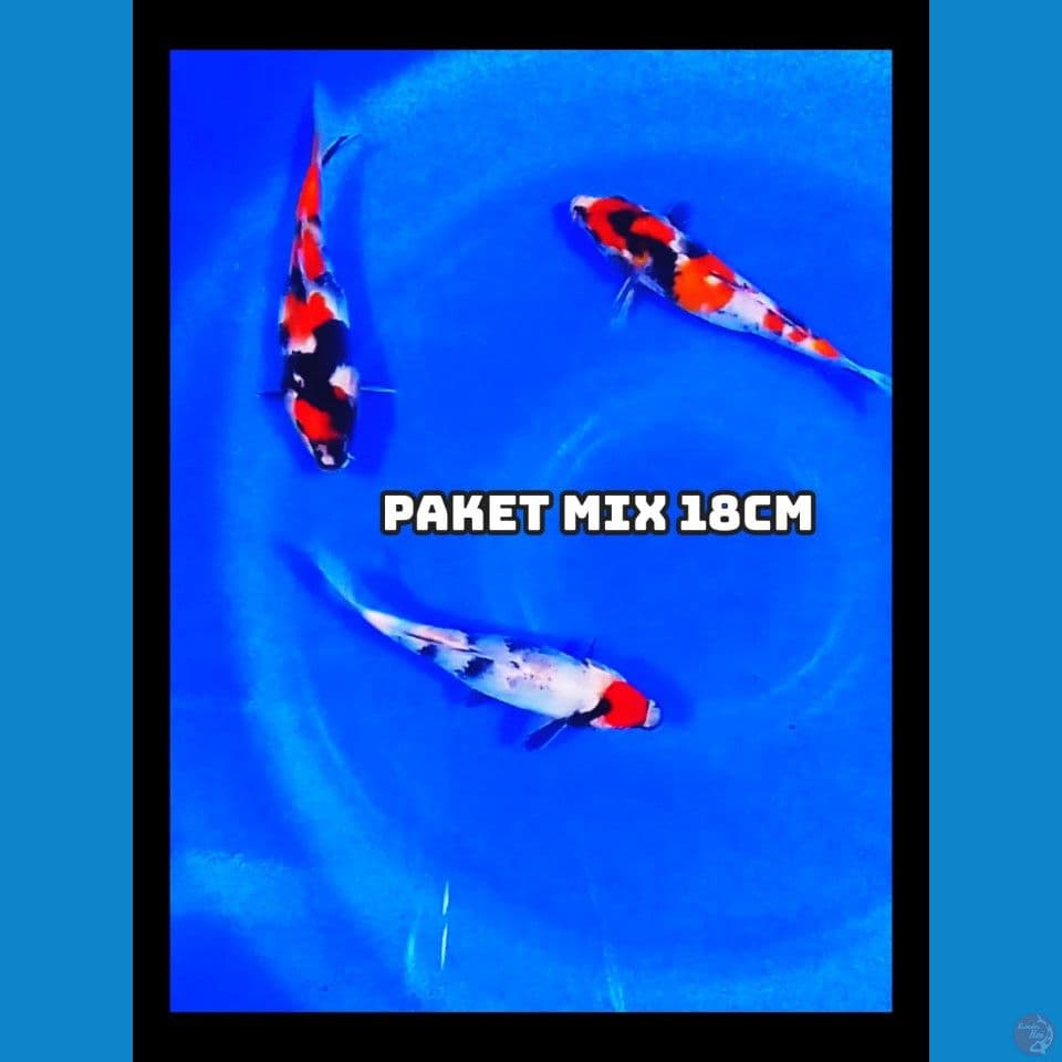 paked mix 17-18cm
