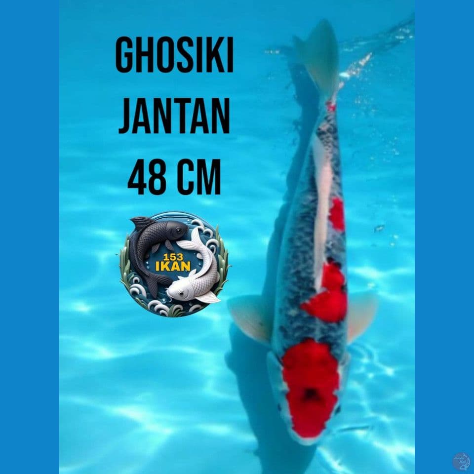 maruten ghosiki