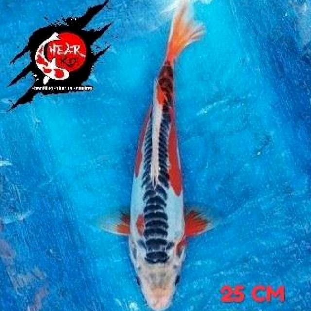 SHUSUISAN