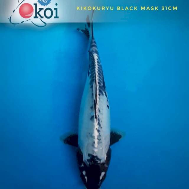 Kiko black masked