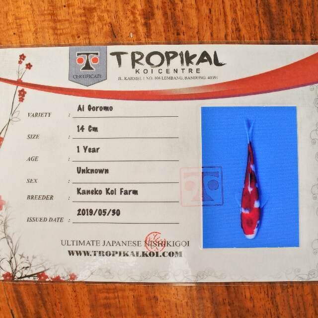 Al Goromo