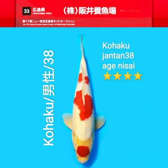 F1 SAKAI (non certy)