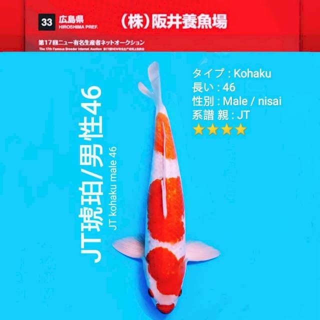 JT f1sakai (Non certy)