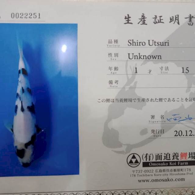 Shiro import omosako farm