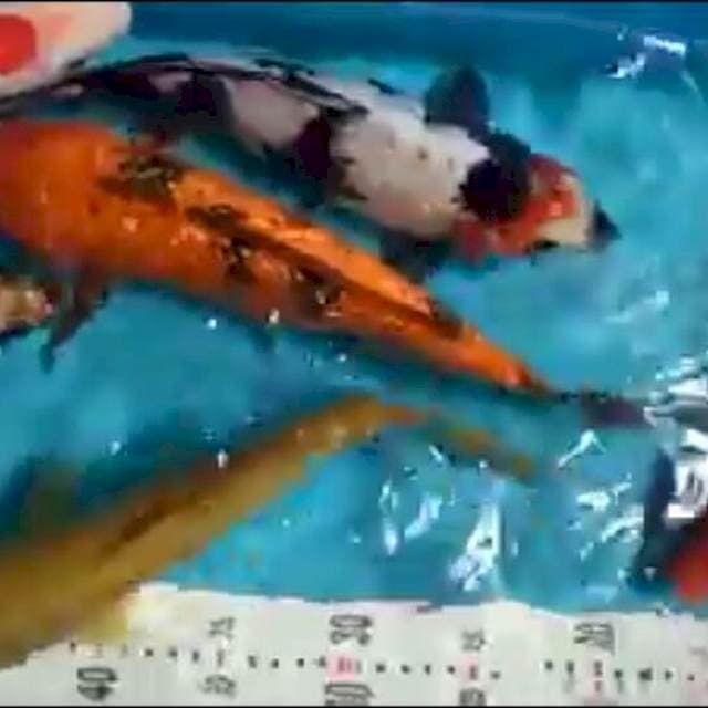 Mix 20-32