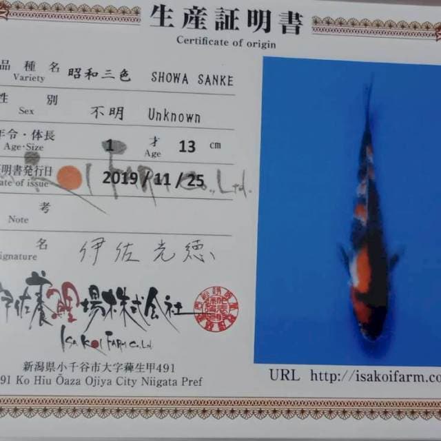 Showa tosai isa farm
