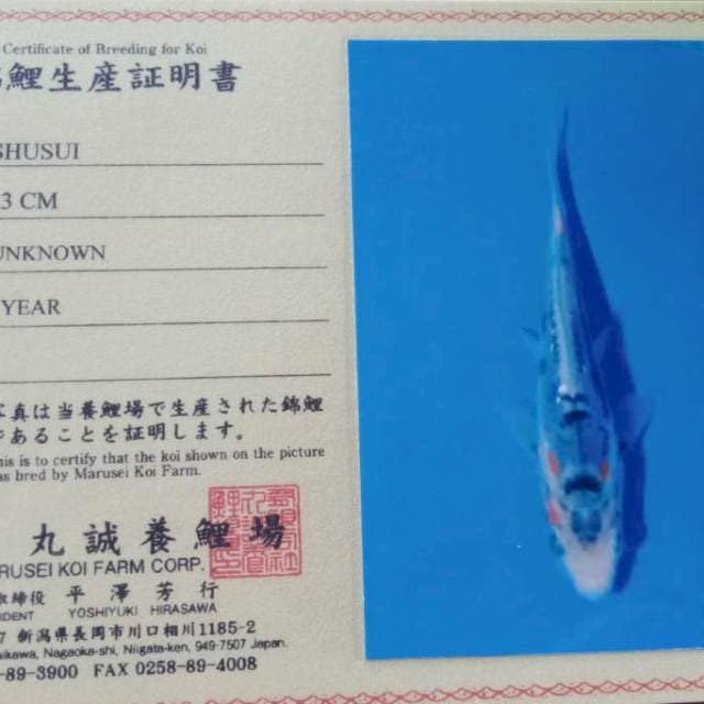 Shusui import marusei farm
