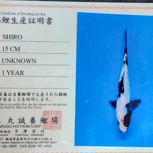 Shiro marusei farm