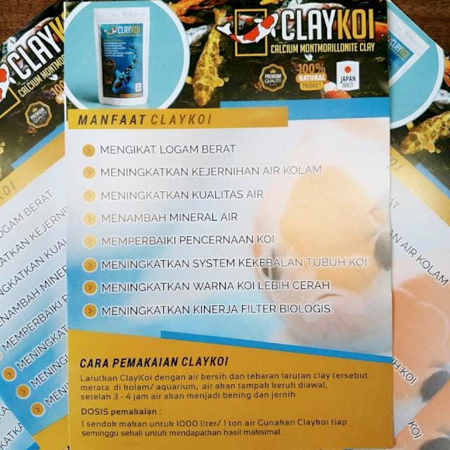 CLAYKOI 800 gr