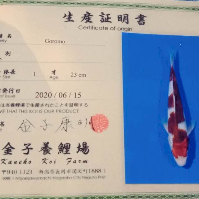 Goromo import tosai
