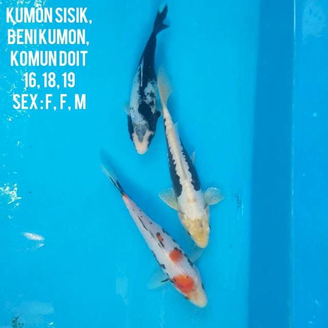 KUMON LENGKAP