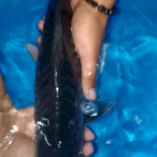 40cm