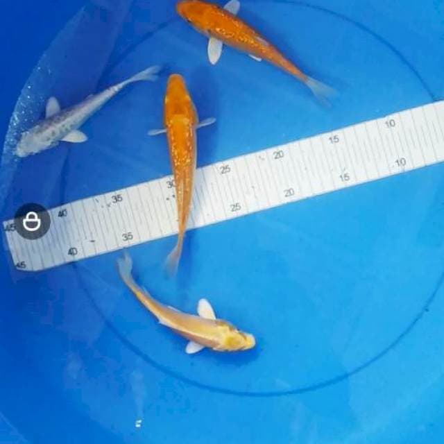 Mix