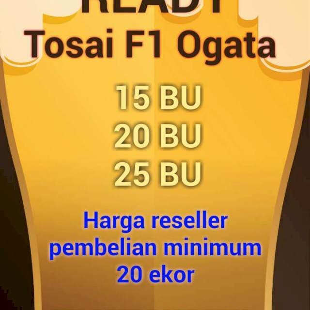 Paket Chagoi F1 Ogata Harga Reseller